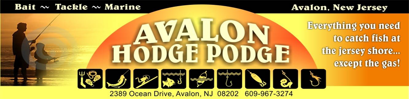 Avalon HP BANNER EDITED.png